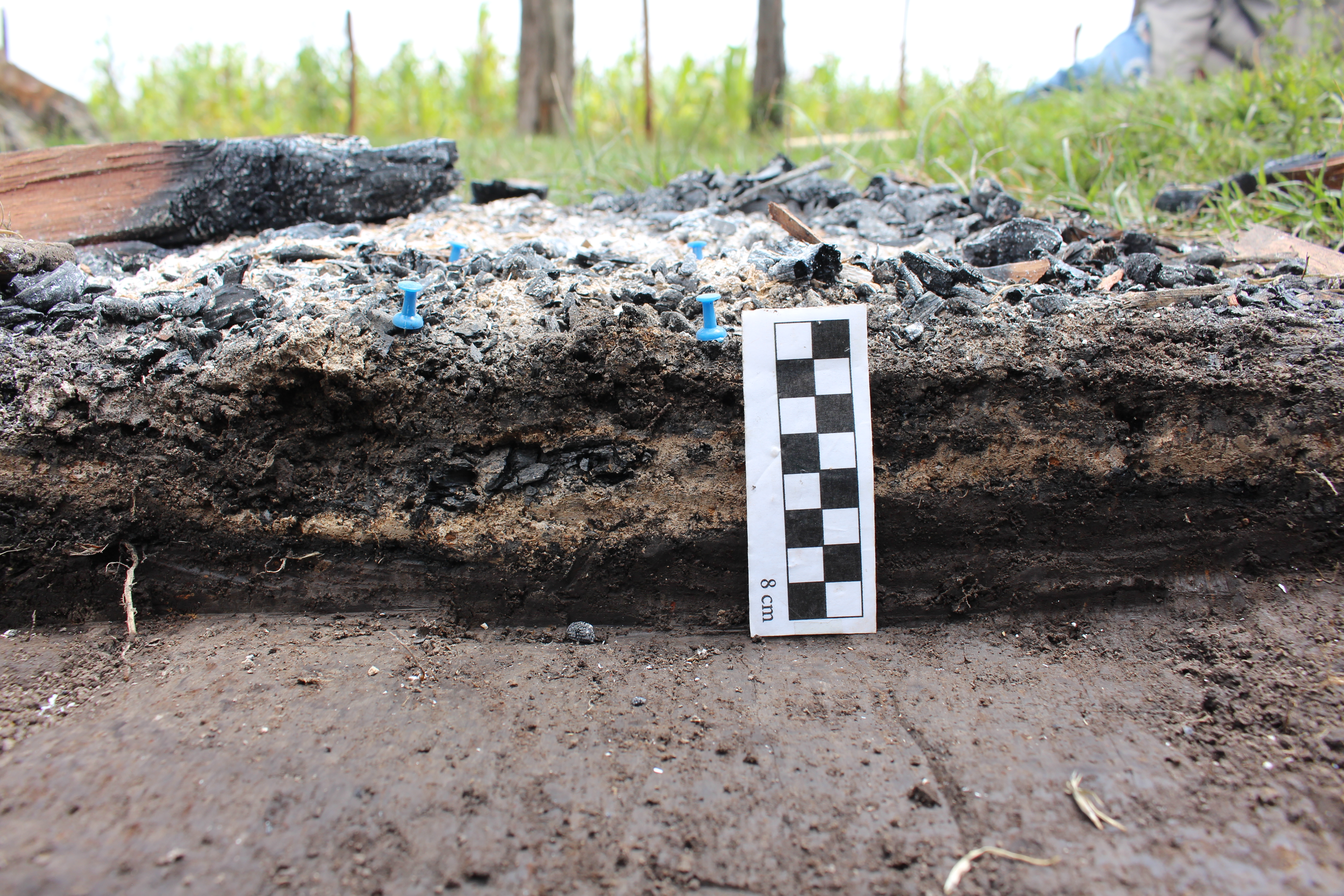 Example_of_fire_feature_stratigraphy.JPG